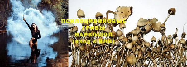 бутират Горняк